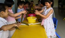 今年棕叶飘香时