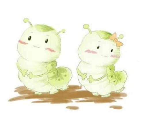 蚕宝宝的成长