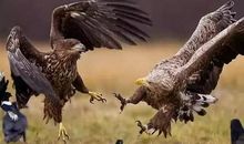 这世界真的好美