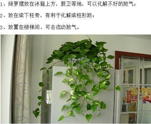我家