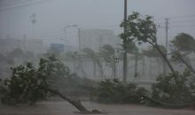 我所经历的台风