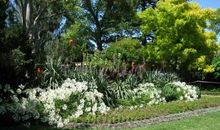 大开眼界的植物园