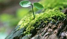 知足常忧不知足常乐