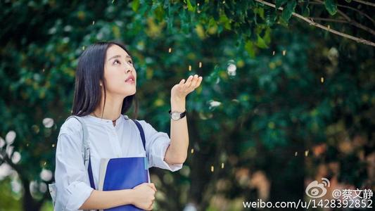 青年去了哪里