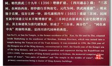 我们班的“四大家”