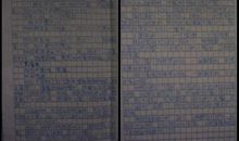 难忘那张灿烂的脸