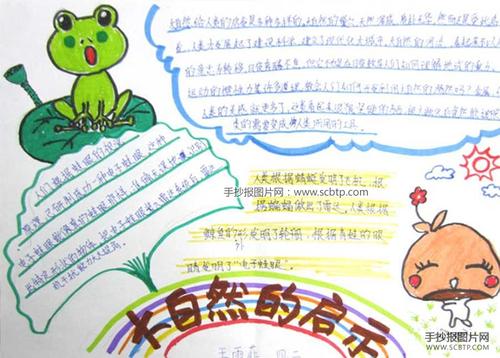 大自然中的启示