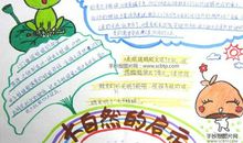 大自然中的启示