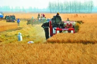 那些让我收获颇丰的程序