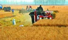 那些让我有收获的节目