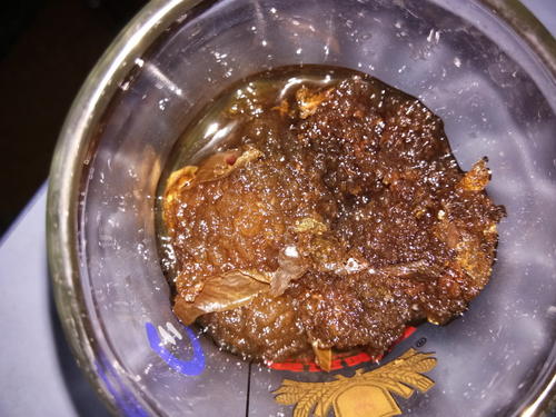 观察胖海日记