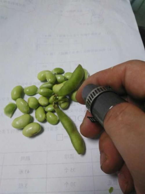 蚕豆去皮