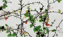 爬山虎一样的人生