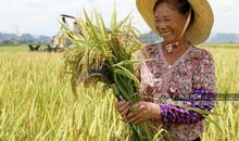 我收获了丰收的喜悦