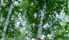 暖意总在那一瞬