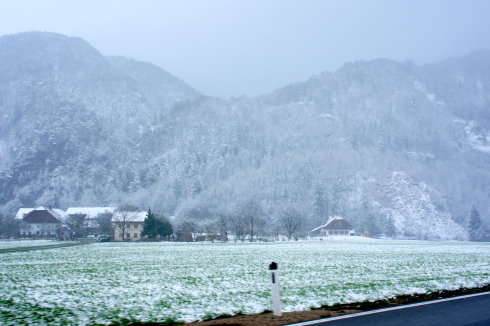 春天的雪