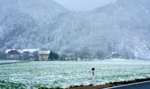 春天里的那场雪