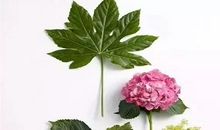 心存善念、相信美好