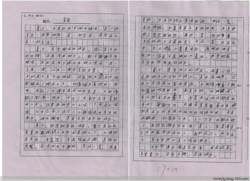 最美丽的会初中作文