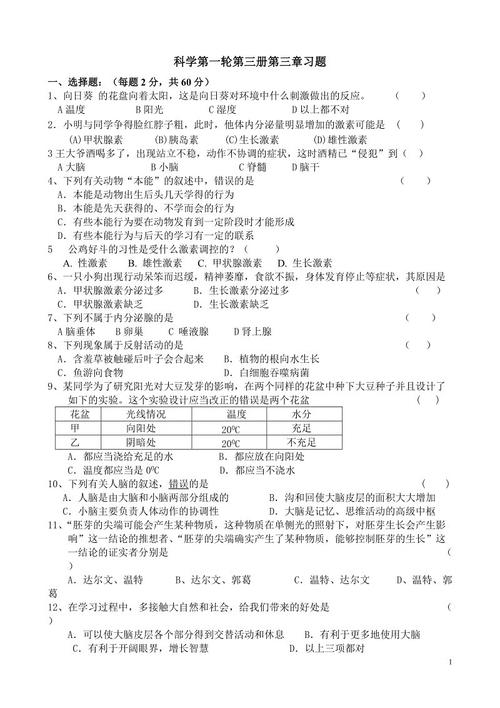 和平生活的旋律