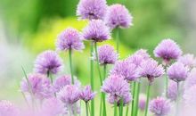 在困难面前不能低头