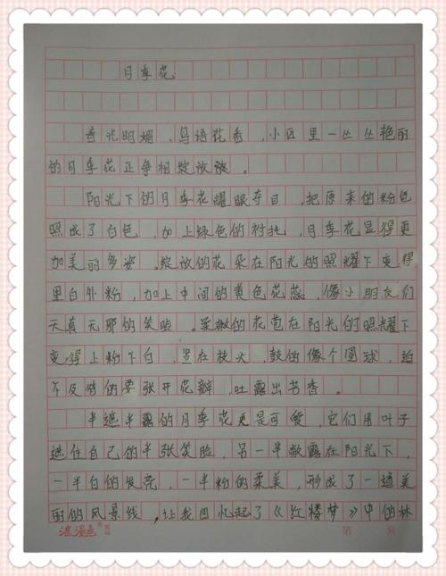 我喜欢花三年级的作文