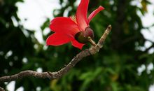 攒在掌心的温暖