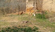 二十年后重返故乡