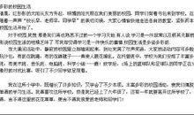 珍贵的记忆作文800字