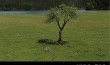 勇敢的青春最美丽