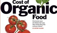 共享时代利与弊