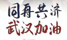 加油武汉挺住疫情