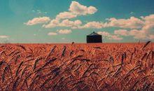 人生中的光阴与阴影