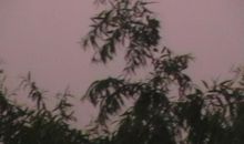 雨夜的温度不再冷