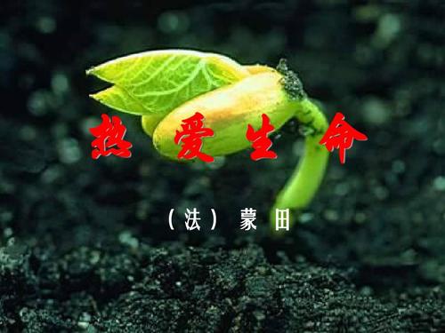 一个热爱生活的人
