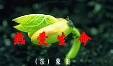 一个热爱生命的人