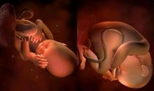 原来妈妈是这样的用意