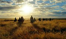 缺陷，另一种生机