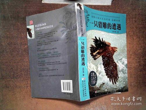 如果我是猎鹰
