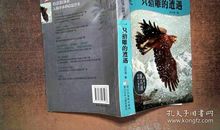 假如我是一只猎雕