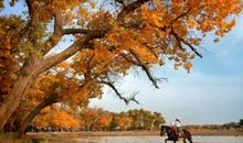 令人陶醉的秋天