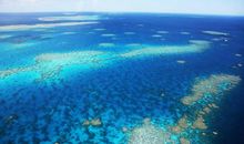 被污染的池底之国