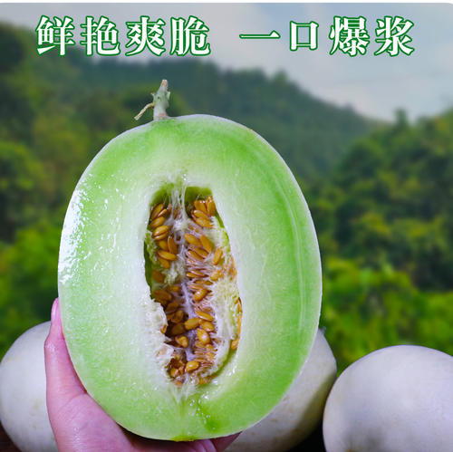 我爱瓜