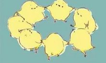 可爱的“板栗”