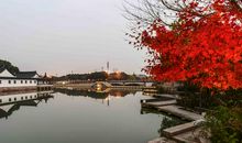 五柳公园吸引了我