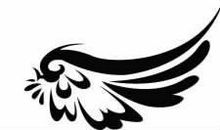 我真想有一对翅膀