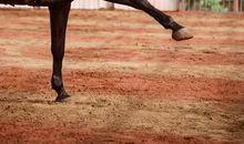 天猫座女孩的读后感