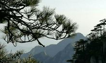 因为下雨春游取消