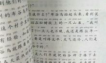 小狗作文