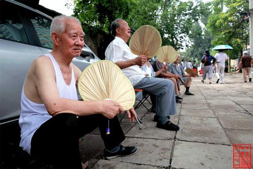 夏天凉爽